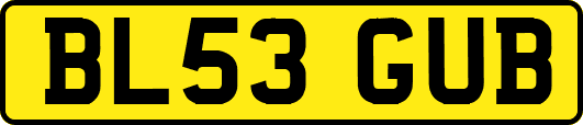 BL53GUB