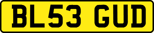 BL53GUD