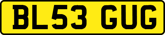 BL53GUG