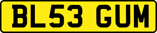 BL53GUM