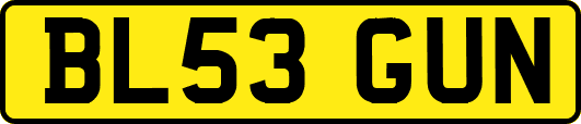 BL53GUN