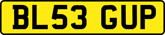 BL53GUP