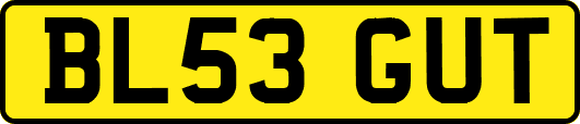 BL53GUT