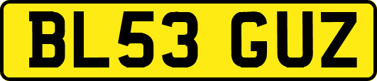 BL53GUZ
