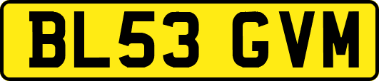 BL53GVM