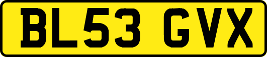 BL53GVX