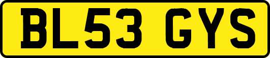 BL53GYS
