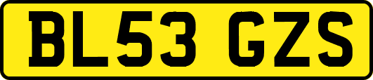 BL53GZS
