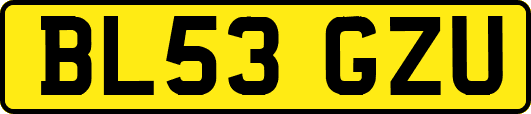 BL53GZU