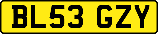 BL53GZY