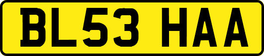 BL53HAA