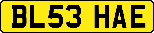 BL53HAE