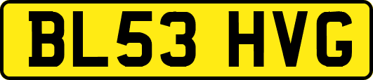 BL53HVG