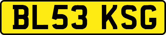 BL53KSG