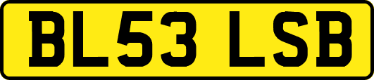 BL53LSB
