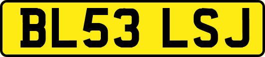 BL53LSJ