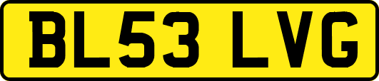 BL53LVG