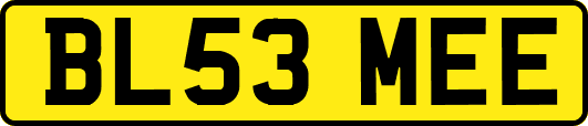 BL53MEE