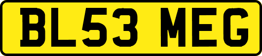 BL53MEG