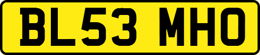 BL53MHO