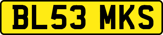 BL53MKS