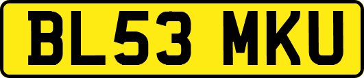 BL53MKU