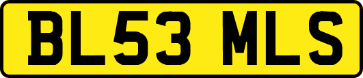 BL53MLS