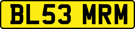 BL53MRM