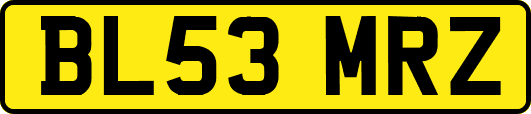 BL53MRZ