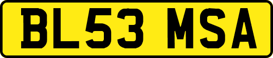 BL53MSA