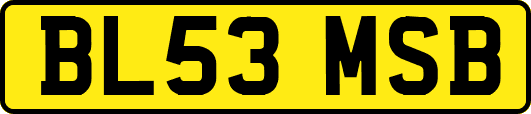 BL53MSB