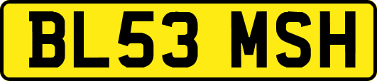 BL53MSH