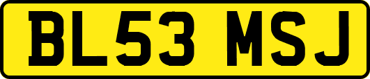 BL53MSJ