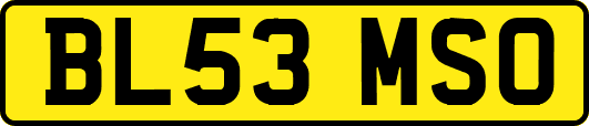 BL53MSO
