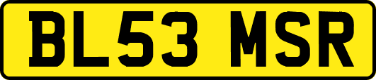 BL53MSR