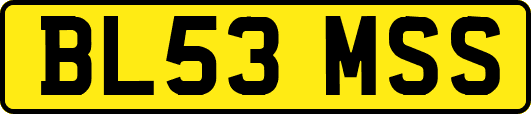 BL53MSS