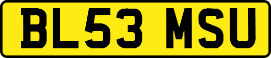 BL53MSU
