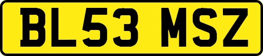 BL53MSZ