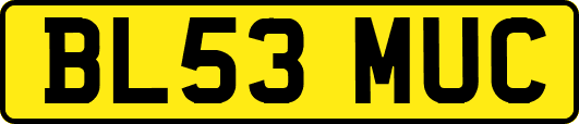BL53MUC