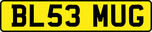 BL53MUG