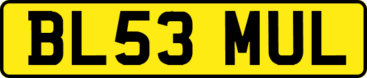 BL53MUL