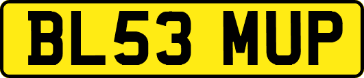 BL53MUP