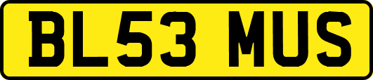 BL53MUS