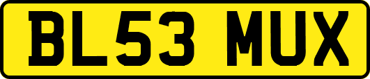 BL53MUX
