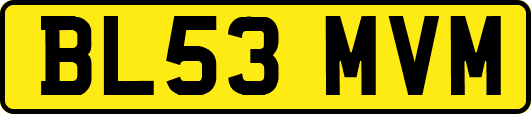 BL53MVM