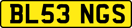 BL53NGS