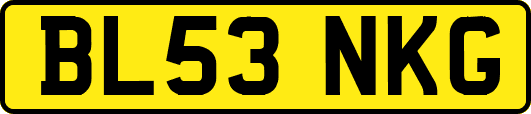 BL53NKG