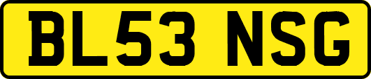BL53NSG