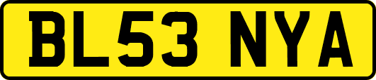 BL53NYA