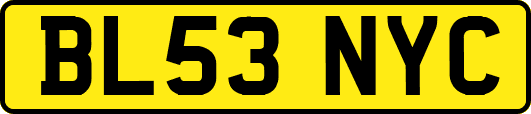 BL53NYC
